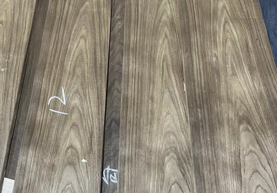 0.5mm 연한 오크 포네어 A/B/C