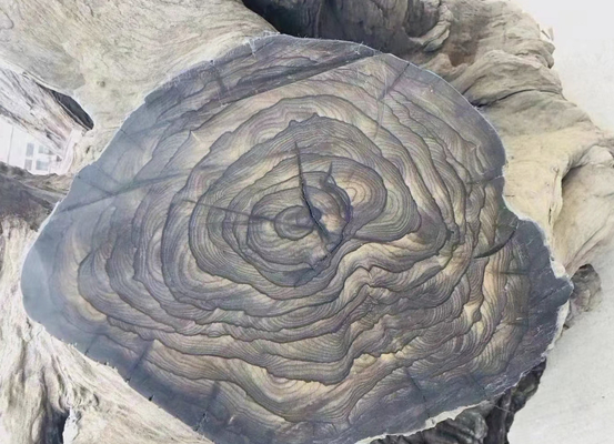이름