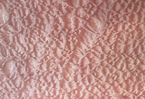 이름