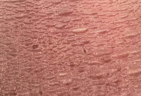 이름