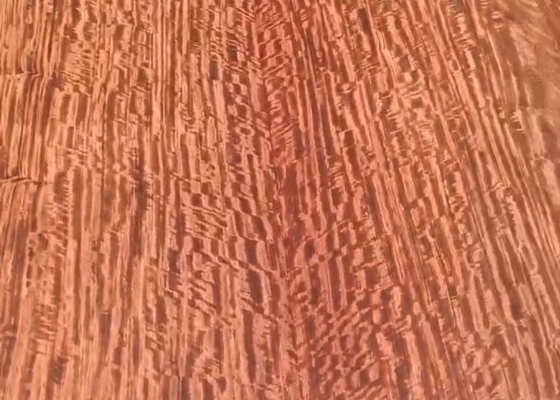 이름